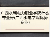 广西水利电力职业学院什么专业好(广西水电学院优势专业)