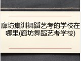 廊坊集训舞蹈艺考的学校在哪里(廊坊舞蹈艺考学校)