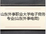 山东外事职业大学电子商务专业(山东外事电商)