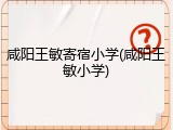 咸阳王敏寄宿小学(咸阳王敏小学)