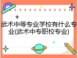 武术中等专业学校有什么专业(武术中专职校专业)
