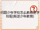 问题少年学校怎么教叛逆学校呢(叛逆少年教育)