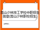 嵩山少林技工学校中职招生简章(嵩山少林职校招生)