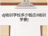 dj培训学校多少钱(DJ培训学费)
