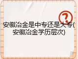 安徽冶金是中专还是大专(安徽冶金学历层次)