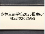 少林文武学校2025招生(少林武校2025招)