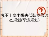 考不上高中想去部队发展怎么规划(军途规划)