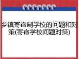 乡镇寄宿制学校的问题和对策(寄宿学校问题对策)