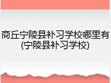 商丘宁陵县补习学校哪里有(宁陵县补习学校)