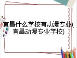 宜昌什么学校有动漫专业(宜昌动漫专业学校)