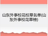 山东外事校花校草名单(山东外事校花草榜)