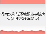 河南水利与环境职业学院高贞(河南水环院高贞)