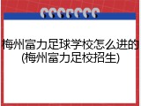 梅州富力足球学校怎么进的(梅州富力足校招生)