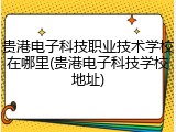 贵港电子科技职业技术学校在哪里(贵港电子科技学校地址)