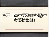 考不上高中男孩咋办呢(中考落榜出路)
