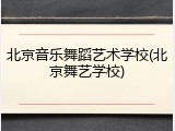 北京音乐舞蹈艺术学校(北京舞艺学校)