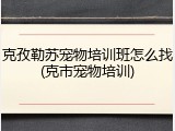 克孜勒苏宠物培训班怎么找(克市宠物培训)
