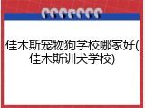 佳木斯宠物狗学校哪家好(佳木斯训犬学校)