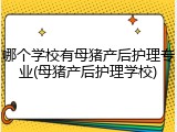 哪个学校有母猪产后护理专业(母猪产后护理学校)