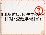 湖北叛逆特训少年学校怎么样(湖北叛逆学校评价)