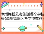 漳州舞蹈艺考集训哪个学校好(漳州舞蹈艺考学校推荐)