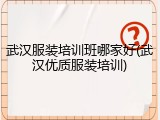 武汉服装培训班哪家好(武汉优质服装培训)