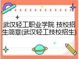 武汉轻工职业学院 技校招生简章(武汉轻工技校招生)