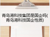 青岛港科技集团是国企吗(青岛港科技国企性质)