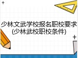 少林文武学校报名职校要求(少林武校职校条件)