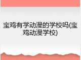 宝鸡有学动漫的学校吗(宝鸡动漫学校)