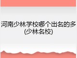 河南少林学校哪个出名的多(少林名校)