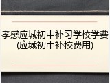 孝感应城初中补习学校学费(应城初中补校费用)