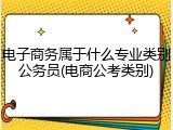 电子商务属于什么专业类别公务员(电商公考类别)