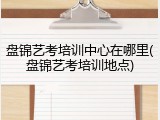 盘锦艺考培训中心在哪里(盘锦艺考培训地点)