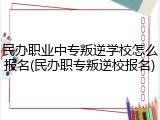 民办职业中专叛逆学校怎么报名(民办职专叛逆校报名)