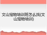 文山宠物培训班怎么找(文山宠物培训)