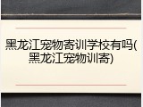 黑龙江宠物寄训学校有吗(黑龙江宠物训寄)