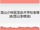 嵩山少林延龙武术学校李维波(嵩山李维波)