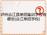 泸州合江县单招集训学校有哪些(合江单招学校)
