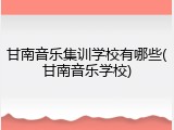 甘南音乐集训学校有哪些(甘南音乐学校)