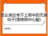 怎么表达考不上高中的无奈句子(落榜高中心酸)