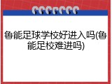 鲁能足球学校好进入吗(鲁能足校难进吗)