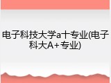 电子科技大学a十专业(电子科大A+专业)