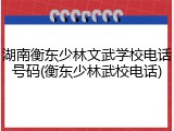 湖南衡东少林文武学校电话号码(衡东少林武校电话)
