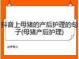 抖音上母猪的产后护理的句子(母猪产后护理)