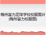 梅州富力足球学校校服图片(梅州富力校服图)