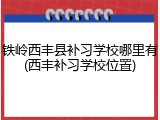 铁岭西丰县补习学校哪里有(西丰补习学校位置)