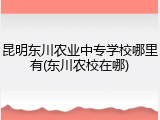 昆明东川农业中专学校哪里有(东川农校在哪)