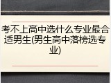 考不上高中选什么专业最合适男生(男生高中落榜选专业)