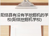 阳信县有没有学挖掘机的学校(阳信挖掘机学校)